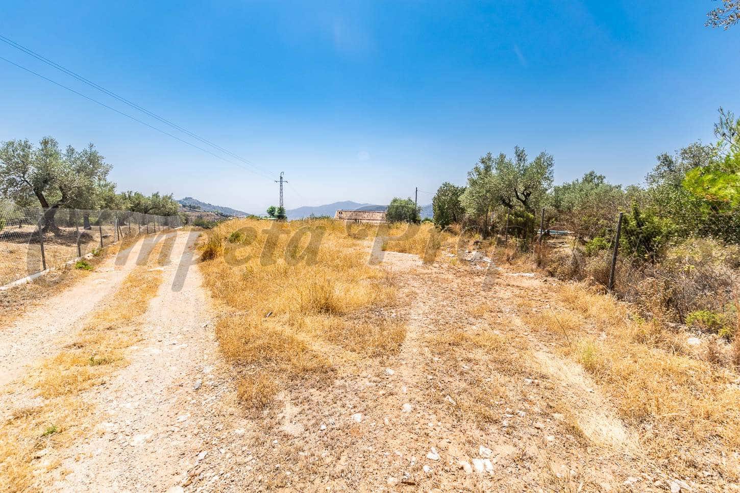 Mark till salu i Competa - 60 000 € (Ref: 4688614)