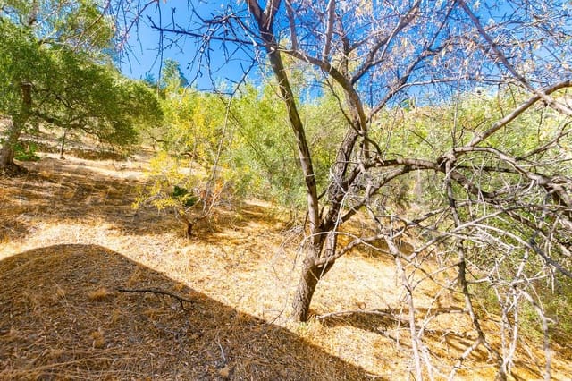 1 soveværelse Finca/Landehus til salg i Archez - € 86.000 (Ref: 4754970)