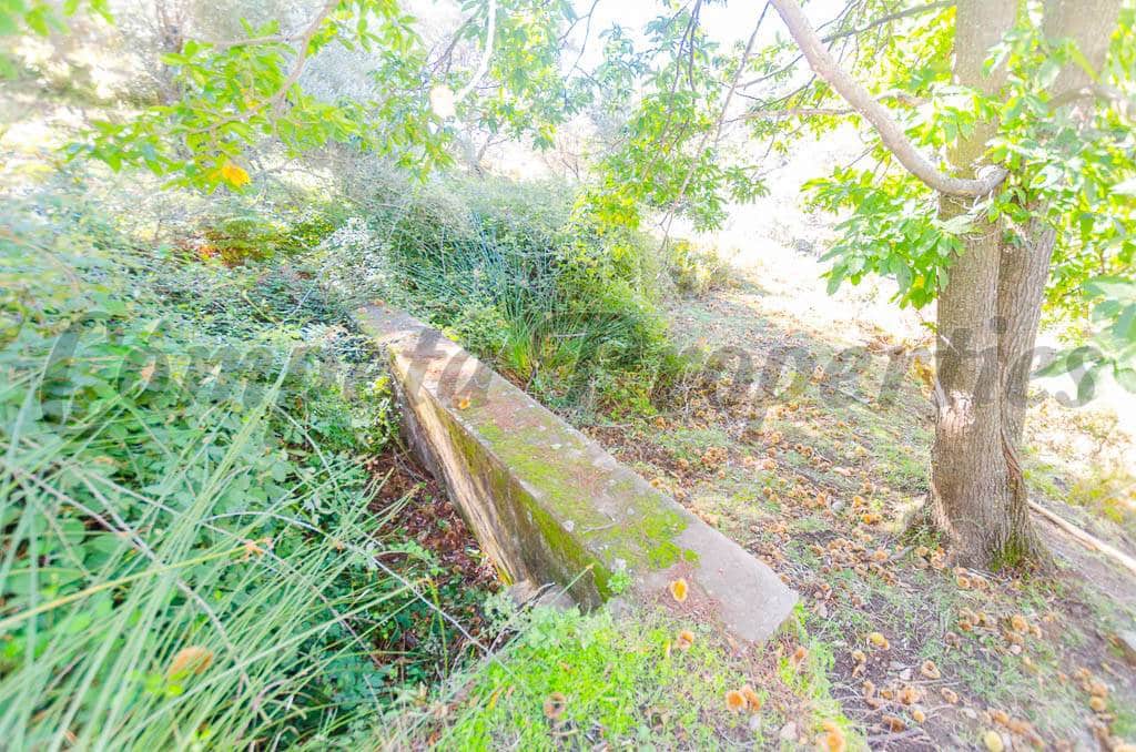 Grunde uden byggetilladelser til salg i Canillas de Albaida - € 300.000 (Ref: 5078390)