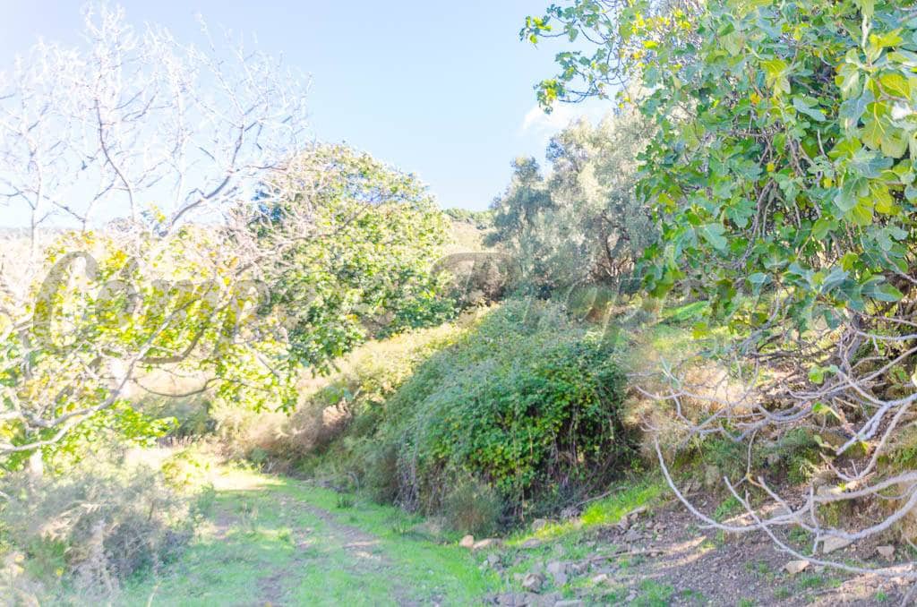 Grunde uden byggetilladelser til salg i Canillas de Albaida - € 300.000 (Ref: 5078390)