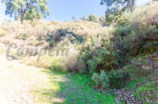 Terreno Non Edificato in vendita in Canillas de Albaida - 300.000 € (Rif: 5078390)