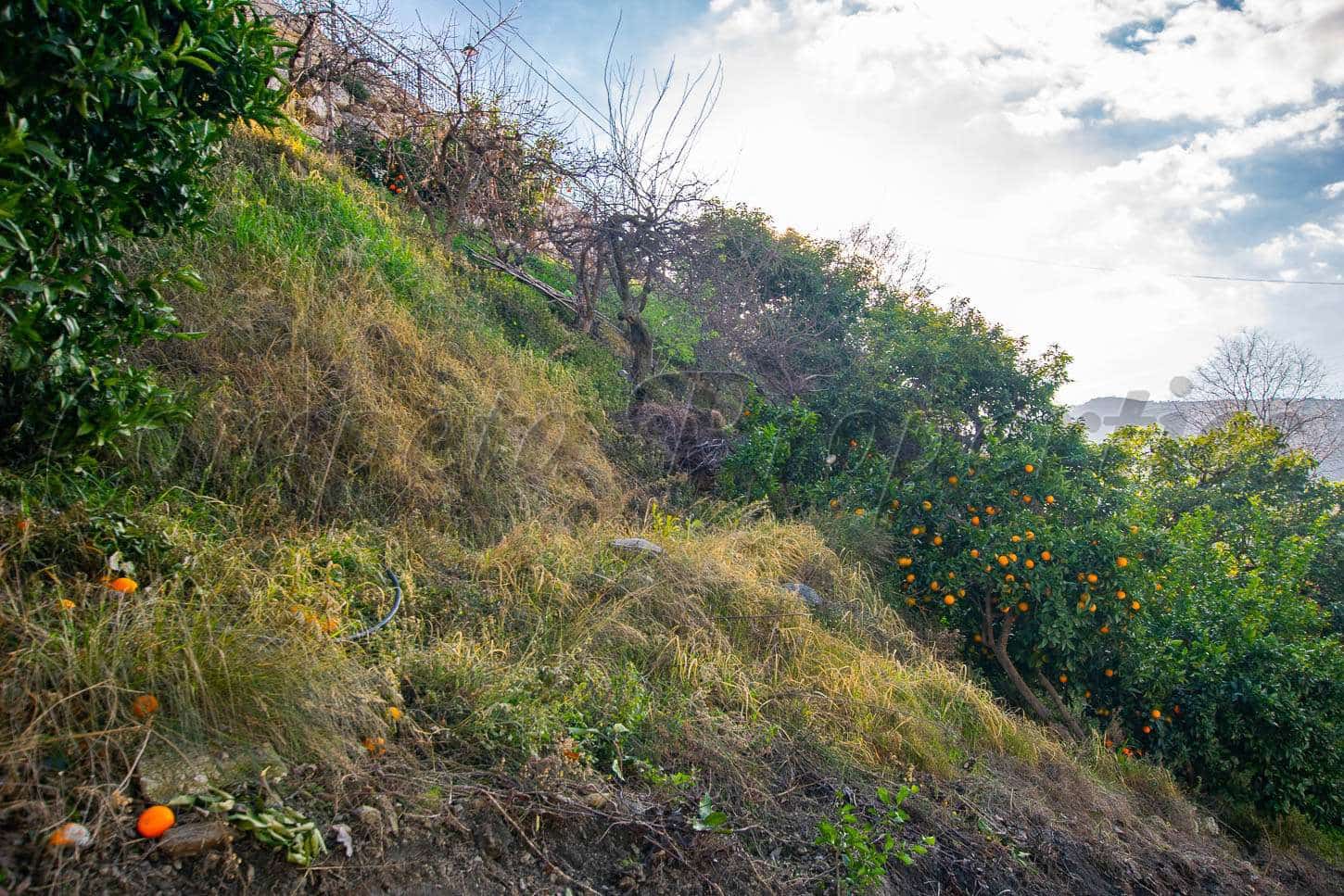 Terreno Non Edificato in vendita in Canillas de Albaida - 30.000 € (Rif: 5119455)