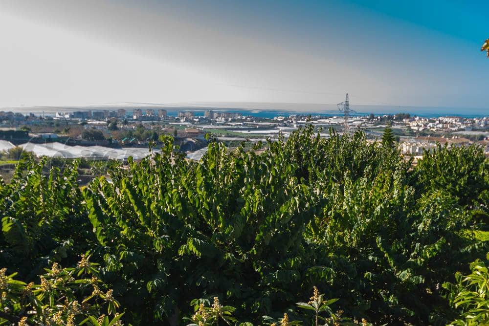 Działka budowlana na sprzedaż w Torrox Park - 1 545 000 € (Ref: 5930527)