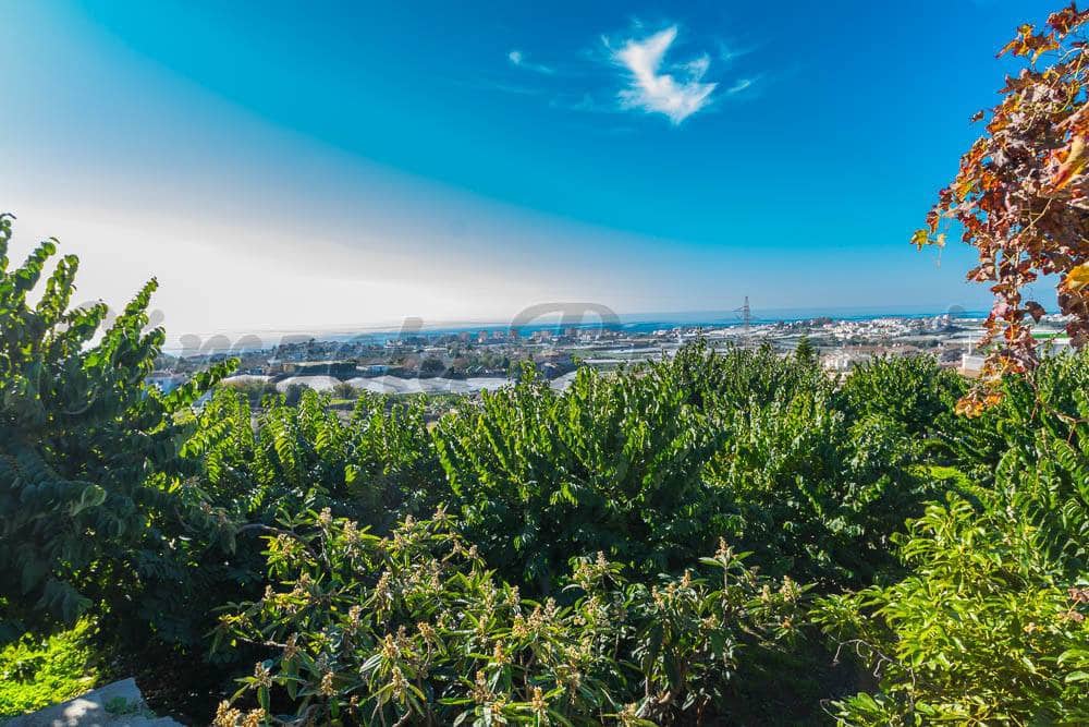 Działka budowlana na sprzedaż w Torrox Park - 1 545 000 € (Ref: 5930527)