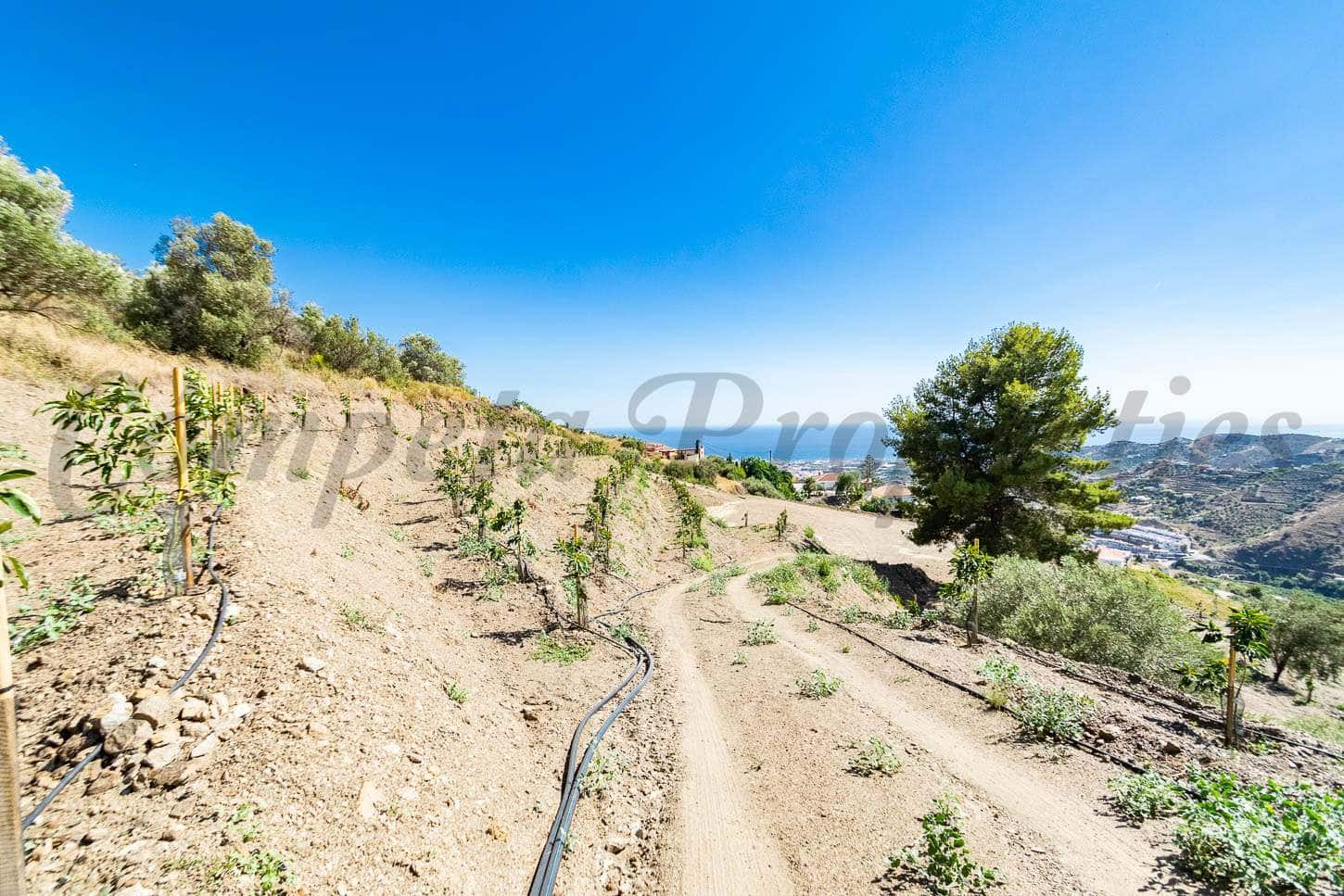 Grunde uden byggetilladelser til salg i Torrox - € 150.000 (Ref: 5973993)