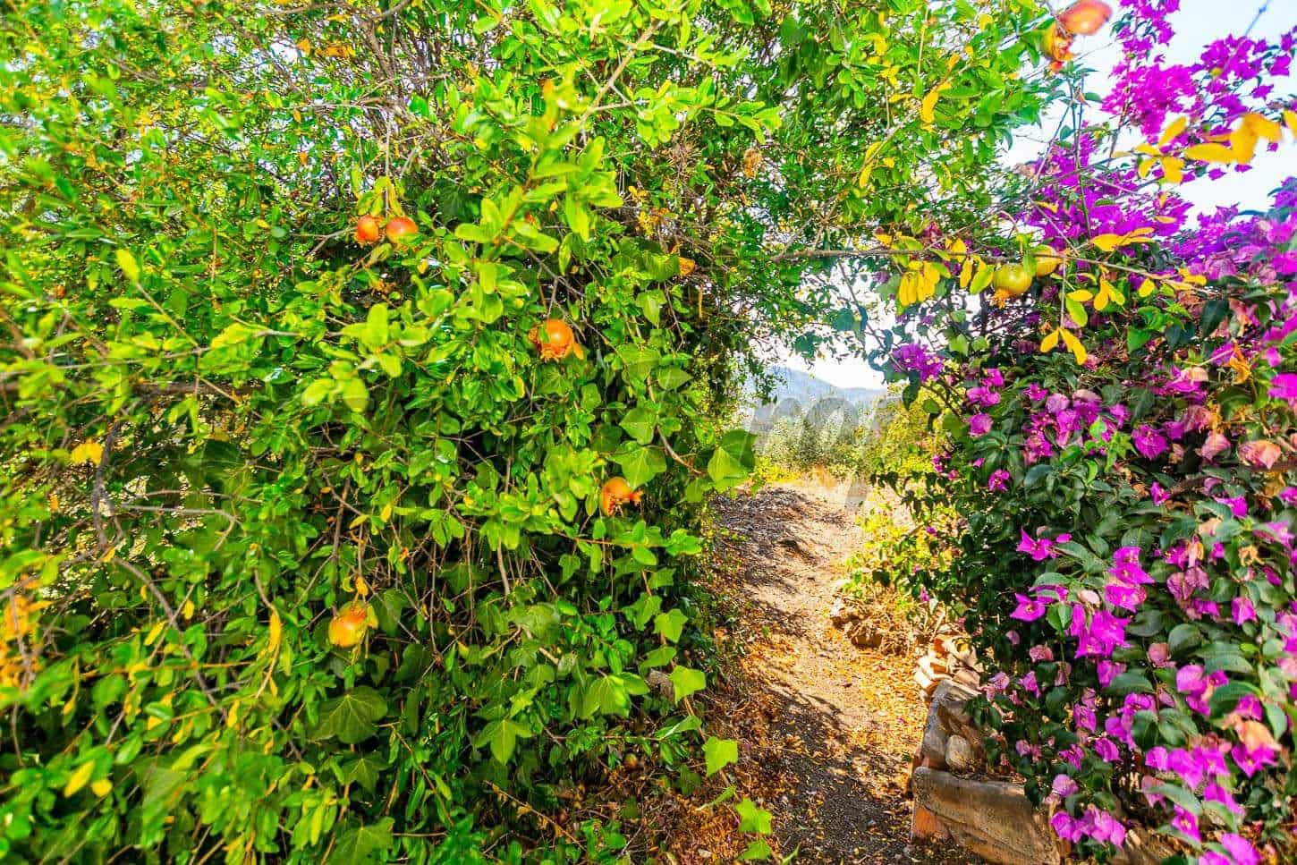 3 slaapkamer Appartement te koop in Arenas - € 128.000 (Ref: 6028300)