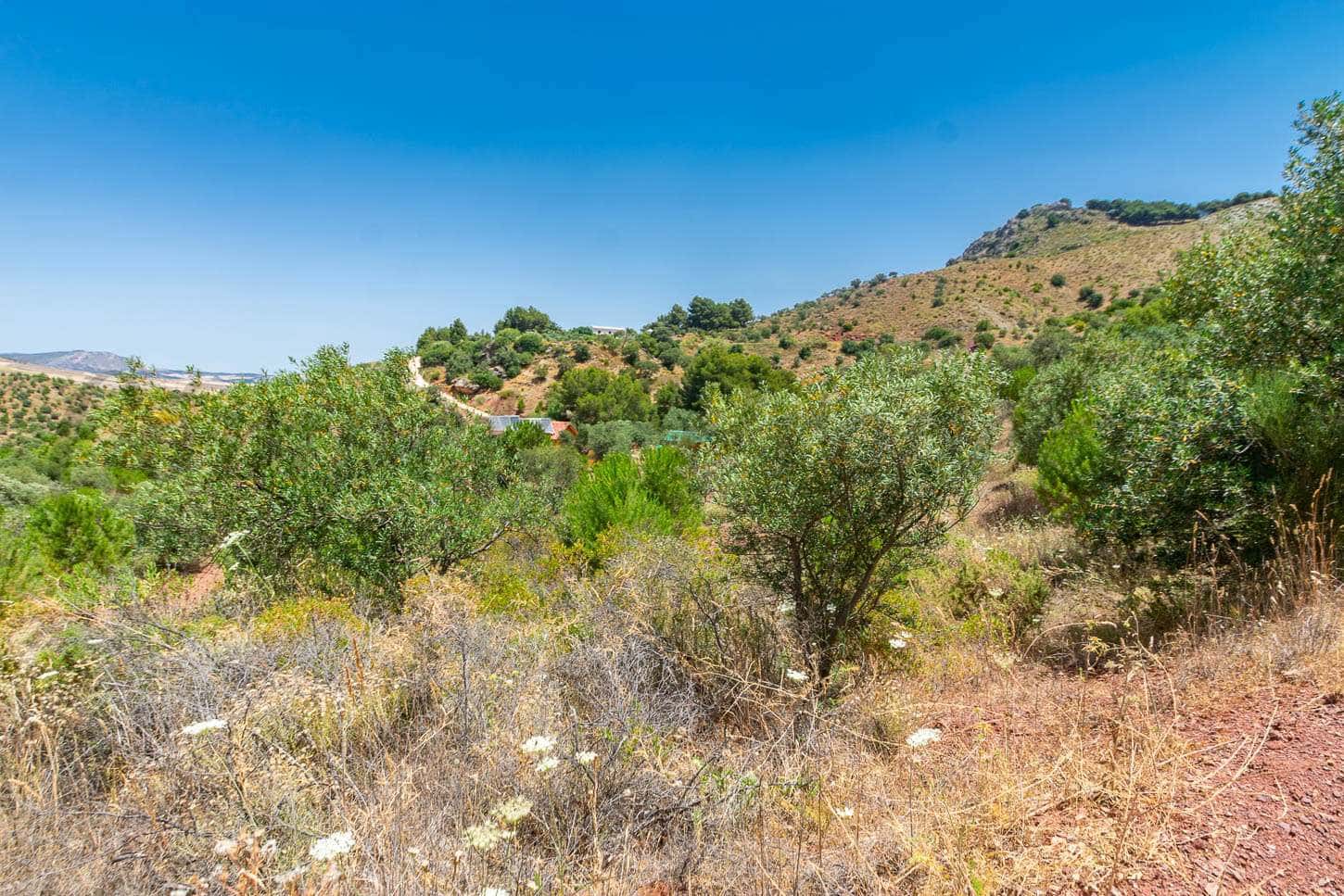 Grunde uden byggetilladelser til salg i Ardales - € 57.500 (Ref: 6130993)