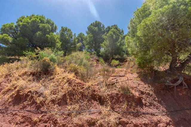 Ubebygd land til salgs i Ardales - € 57 500 (Ref: 6130993)