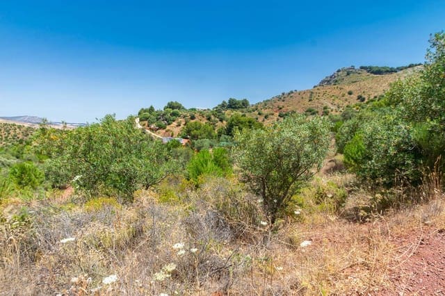 Ubebygd land til salgs i Ardales - € 57 500 (Ref: 6130993)