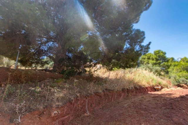 Ubebygd land til salgs i Ardales - € 57 500 (Ref: 6130993)