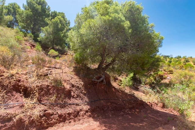 Ubebygd land til salgs i Ardales - € 57 500 (Ref: 6130993)