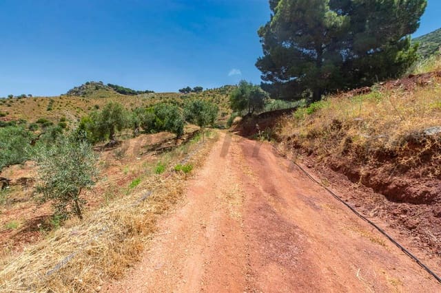 Ubebygd land til salgs i Ardales - € 57 500 (Ref: 6130993)