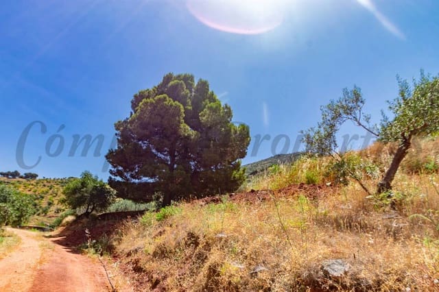 Ubebygd land til salgs i Ardales - € 57 500 (Ref: 6130993)