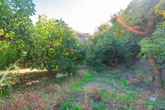 Terreno Non Edificato in vendita in Canillas de Albaida - 36.500 € (Rif: 7255214)