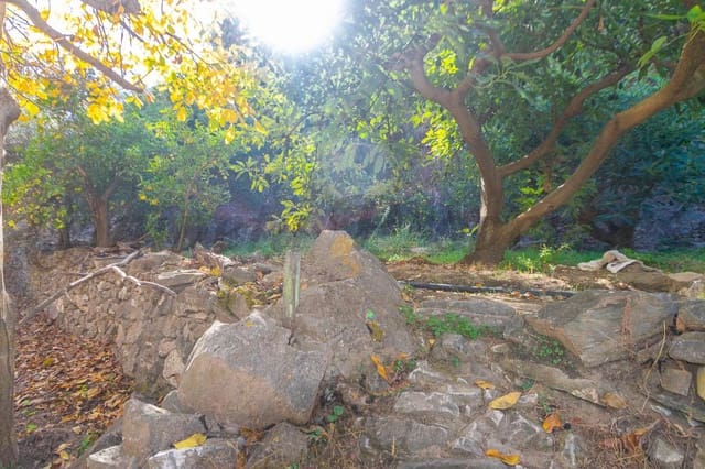 Terreno Non Edificato in vendita in Canillas de Albaida - 36.500 € (Rif: 7255214)