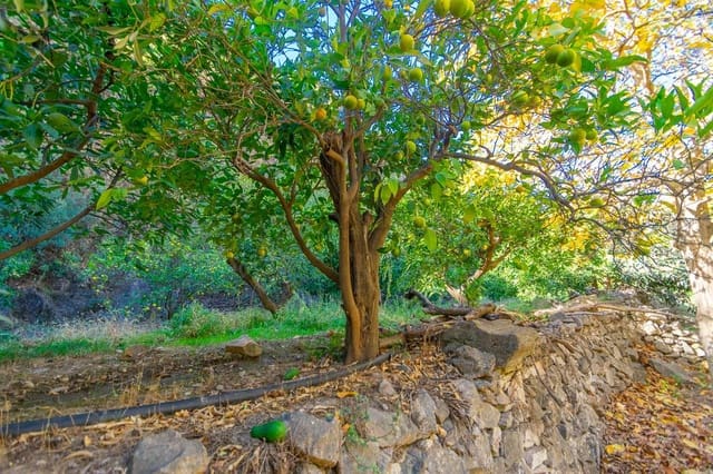 Mark till salu i Canillas de Albaida - 29 900 € (Ref: 7255214)