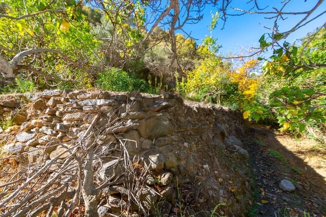 Mark till salu i Canillas de Albaida - 29 900 € (Ref: 7255214)