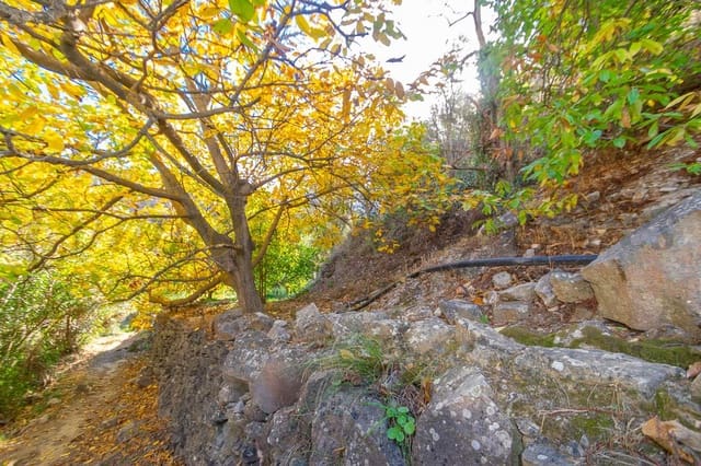 Mark till salu i Canillas de Albaida - 29 900 € (Ref: 7255214)