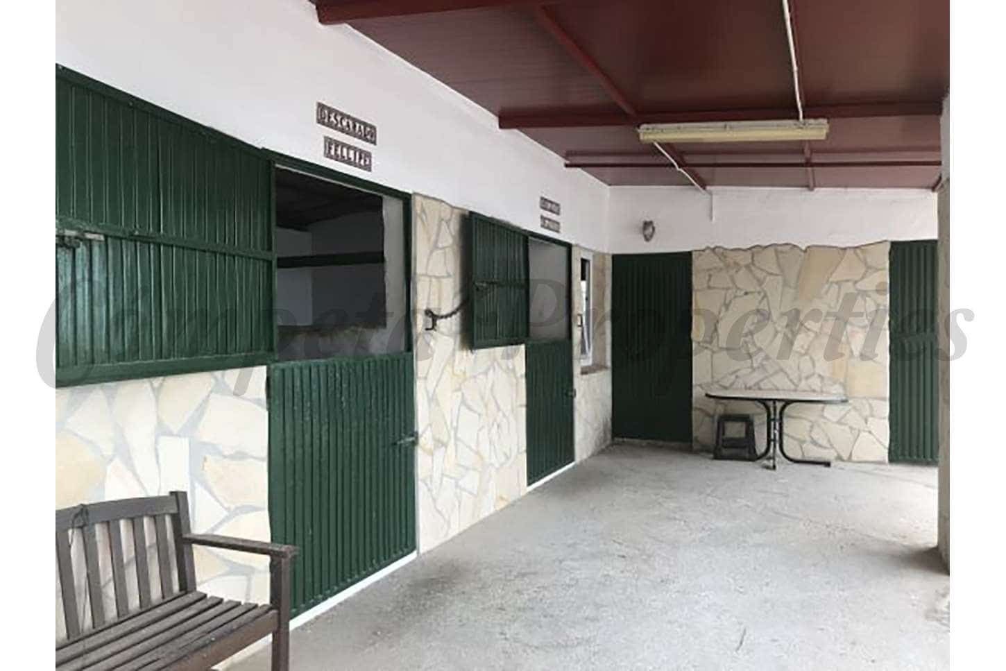 4 soveværelse Finca/Landehus til salg i Sayalonga med swimmingpool garage - € 1.350.000 (Ref: 7303096)