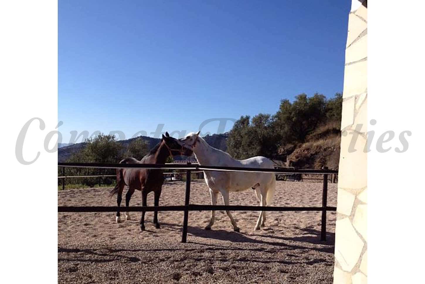 4 soveværelse Finca/Landehus til salg i Sayalonga med swimmingpool garage - € 1.350.000 (Ref: 7303096)