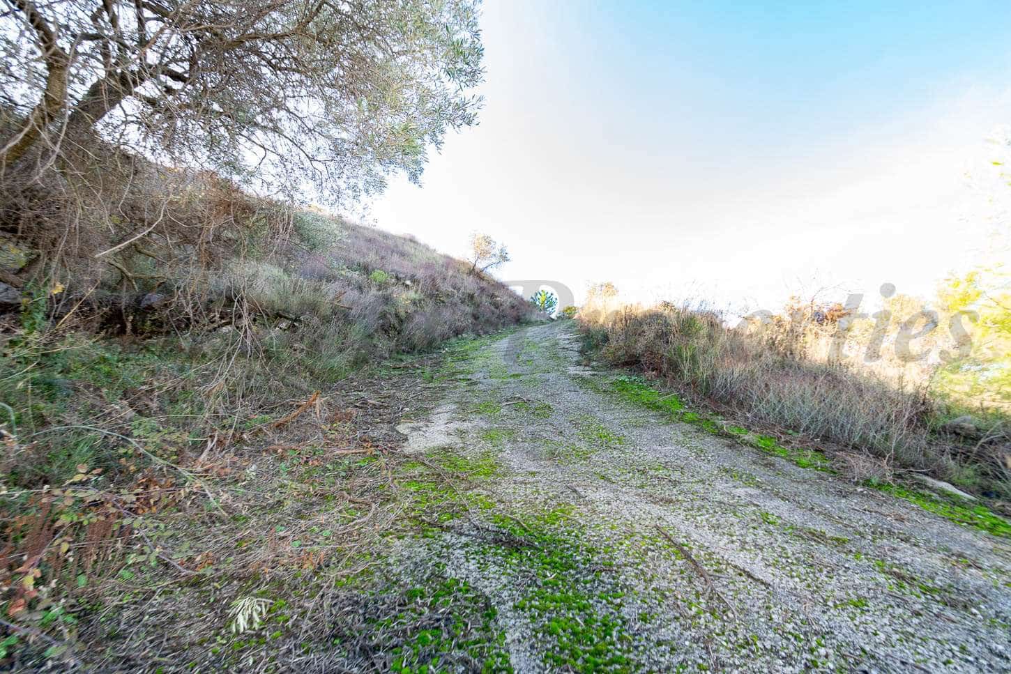 Grond te koop in Torrox - € 42.000 (Ref: 7307065)