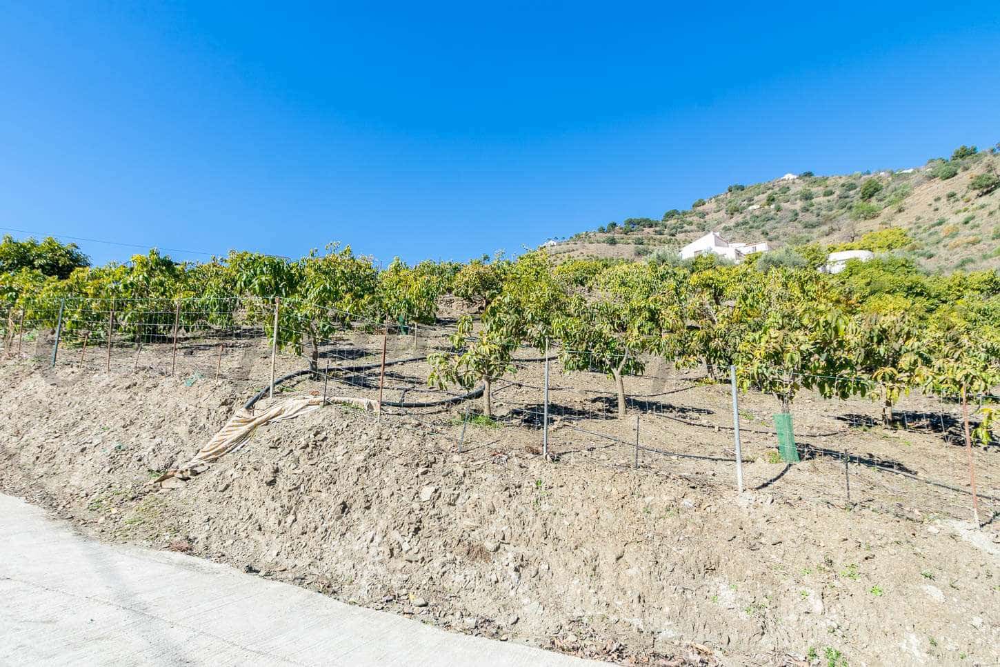 3 sovrum Finca/Hus på landet till salu i Competa - 262 500 € (Ref: 7445998)