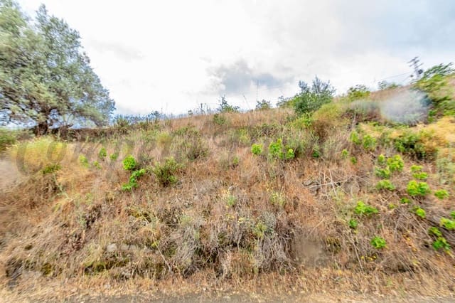 Grond te koop in Torrox - € 28.000 (Ref: 7569799)