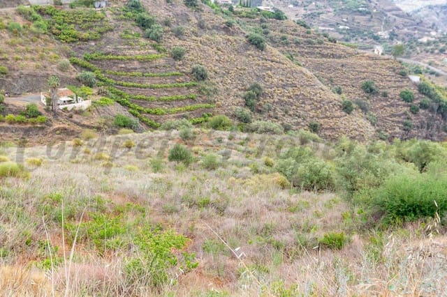 Grond te koop in Torrox - € 28.000 (Ref: 7569799)