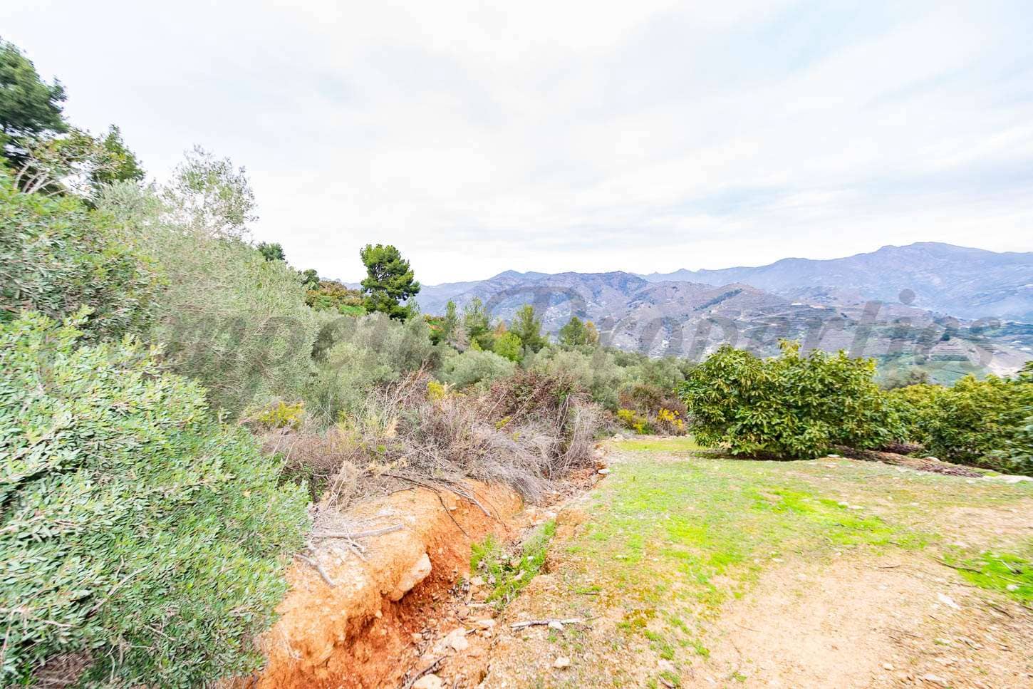 Byggetomt til salgs i Almunecar - € 160 000 (Ref: 7738246)