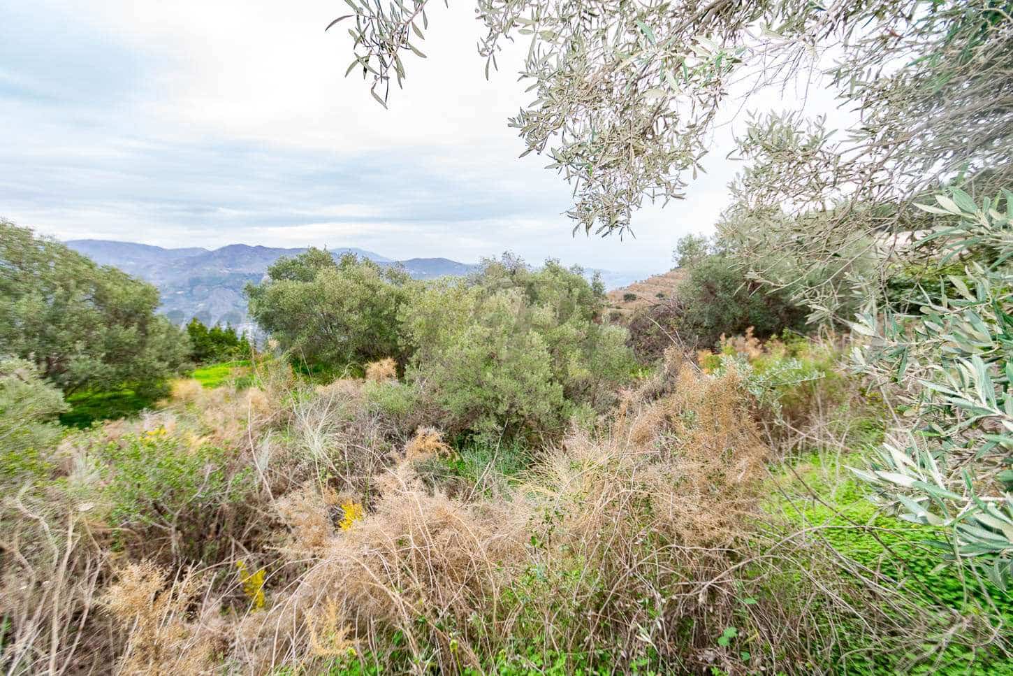 Byggetomt til salgs i Almunecar - € 160 000 (Ref: 7738246)