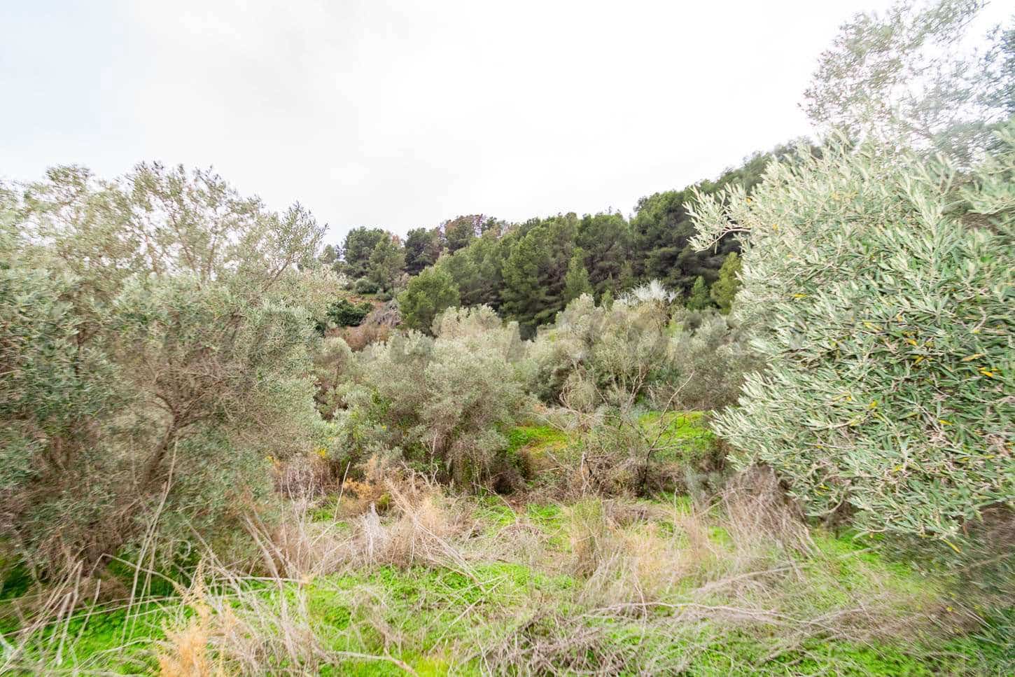 Byggetomt til salgs i Almunecar - € 160 000 (Ref: 7738246)