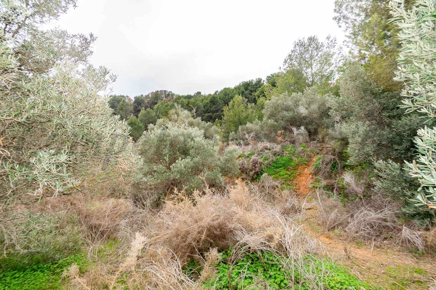 Byggetomt til salgs i Almunecar - € 160 000 (Ref: 7738246)