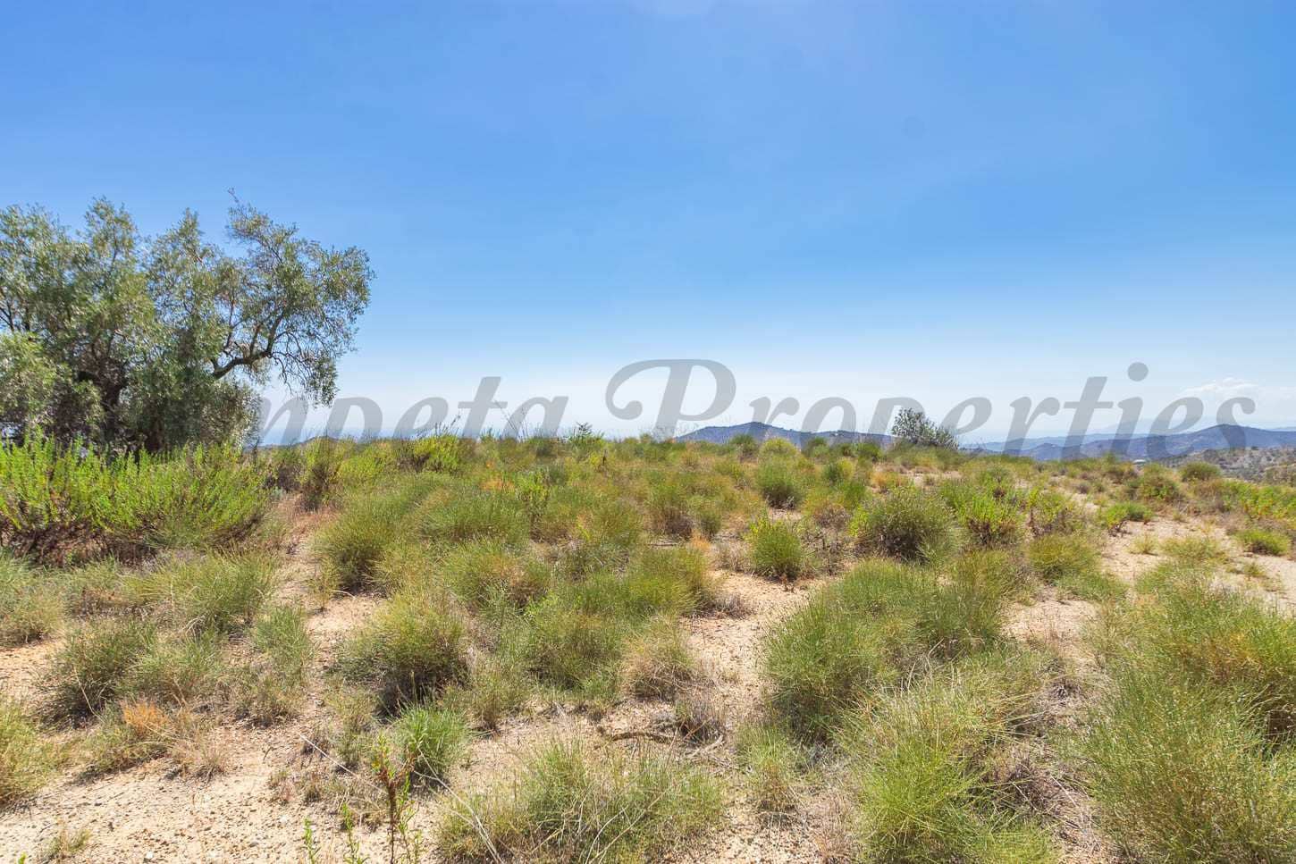 Teren niezagospodarowany na sprzedaż w Canillas de Albaida - 56 000 € (Ref: 7788120)