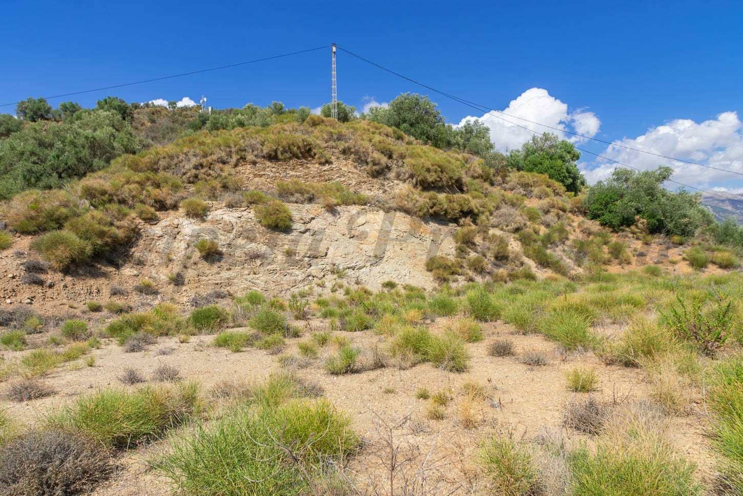 Teren niezagospodarowany na sprzedaż w Canillas de Albaida - 56 000 € (Ref: 7788120)