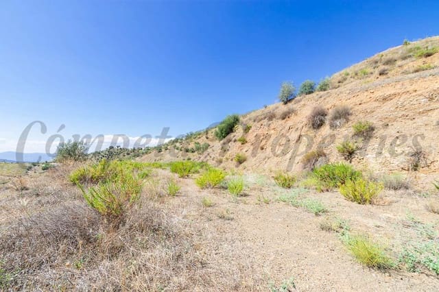 Terreno Non Edificato in vendita in Canillas de Albaida - 36.000 € (Rif: 7788121)