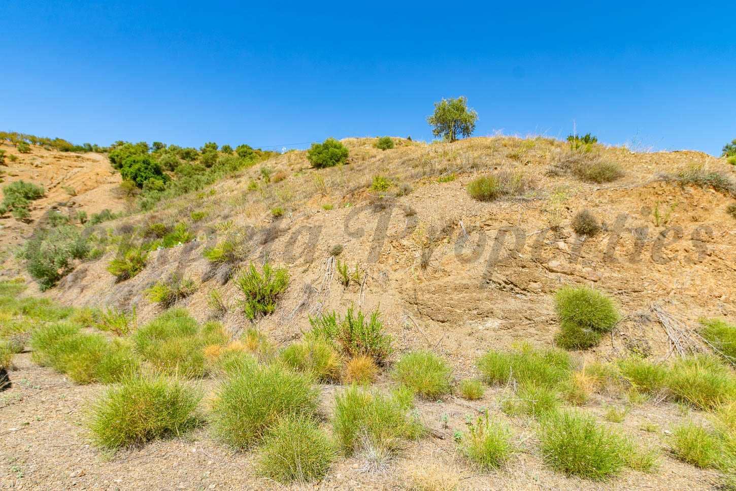 Ubebygd land til salgs i Canillas de Albaida - € 46 000 (Ref: 7788122)