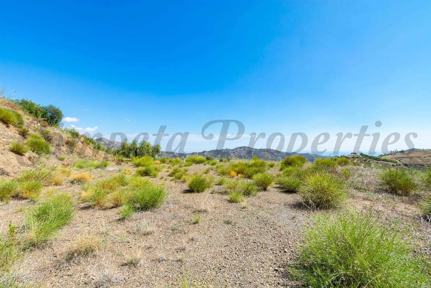 Ubebygd land til salgs i Canillas de Albaida - € 46 000 (Ref: 7788122)