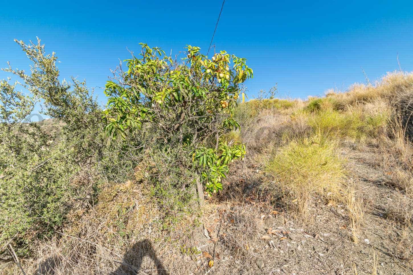 Landgrundstück zu verkaufen in Torrox - 160.000 € (Ref: 7904132)