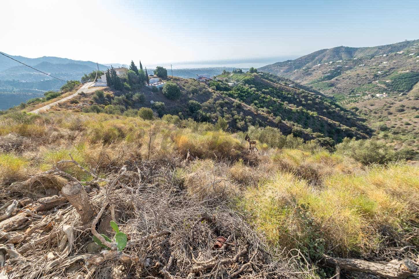Landgrundstück zu verkaufen in Torrox - 160.000 € (Ref: 7904132)