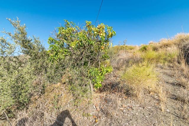 Mark till salu i Torrox - 160 000 € (Ref: 7904132)