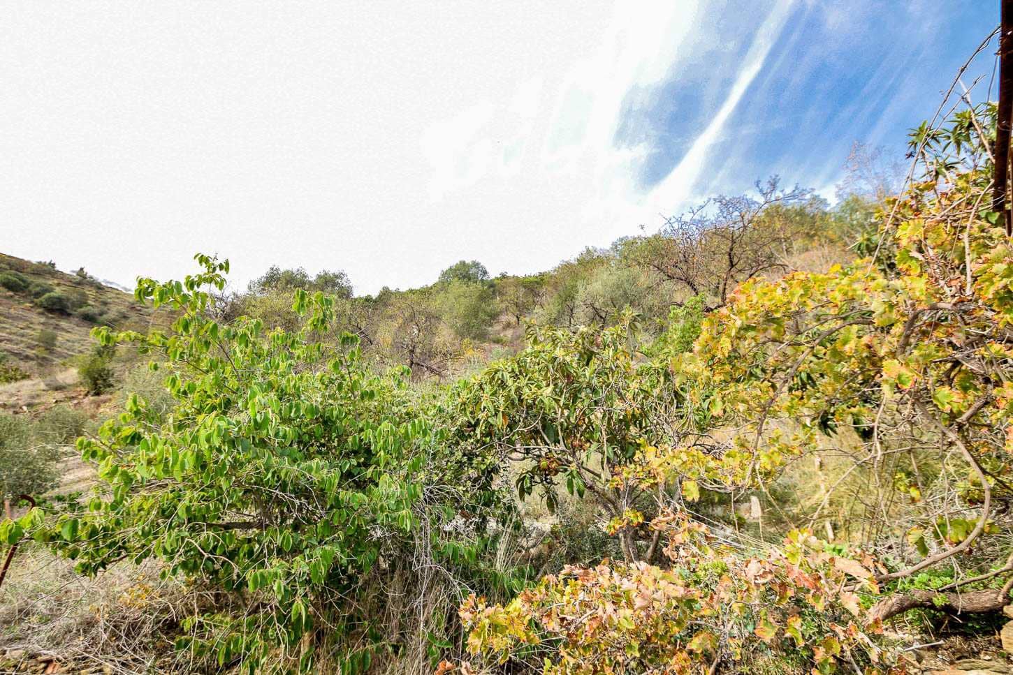 Finca/Landhuis te koop in Competa - € 80.000 (Ref: 7912904)