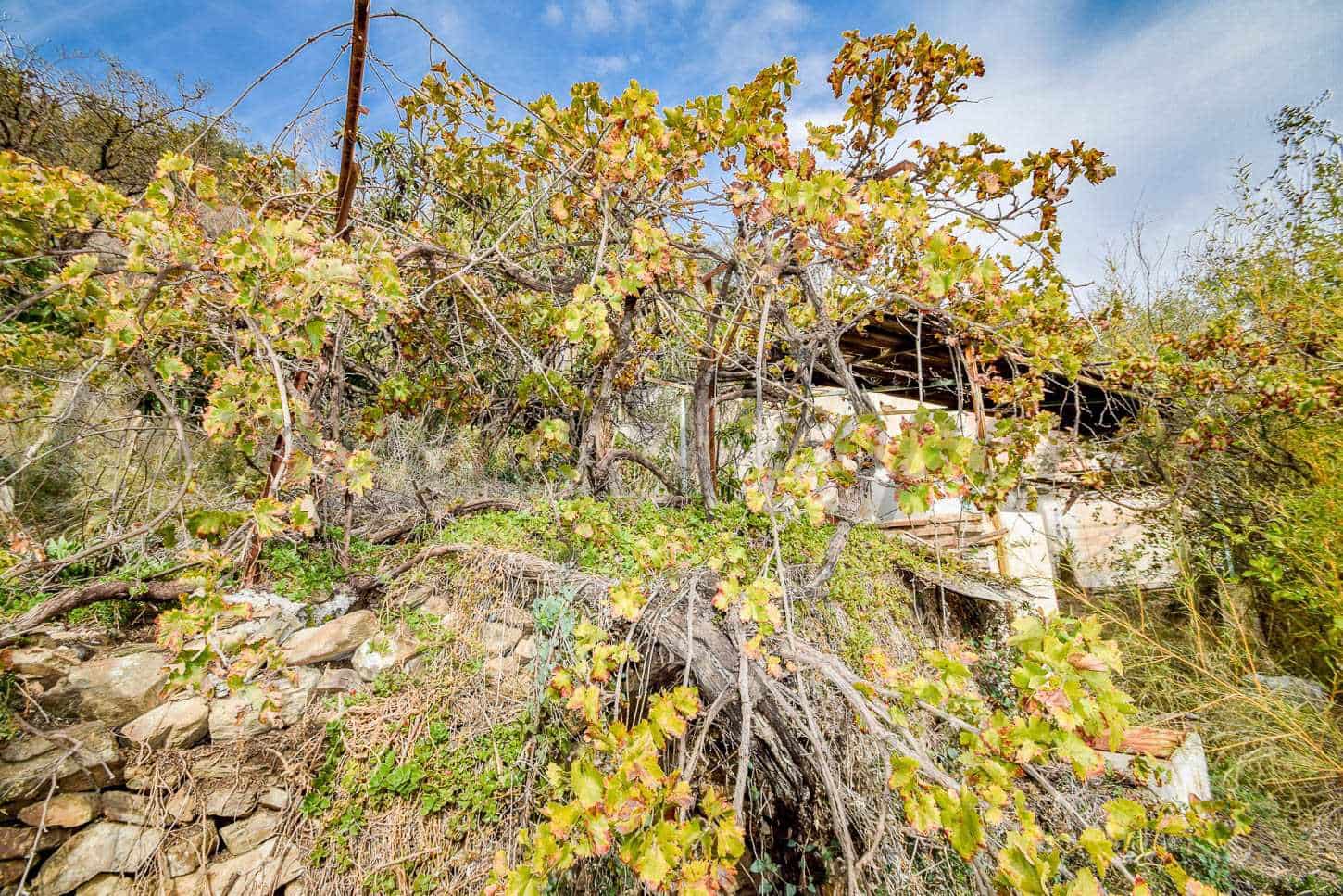 Finca/Landhuis te koop in Competa - € 80.000 (Ref: 7912904)