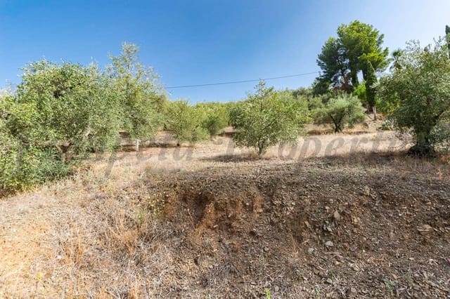 Grunde uden byggetilladelser til salg i Canillas de Albaida - € 10.000 (Ref: 7985501)