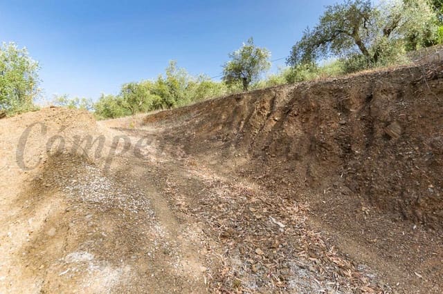 Grunde uden byggetilladelser til salg i Canillas de Albaida - € 10.000 (Ref: 7985501)