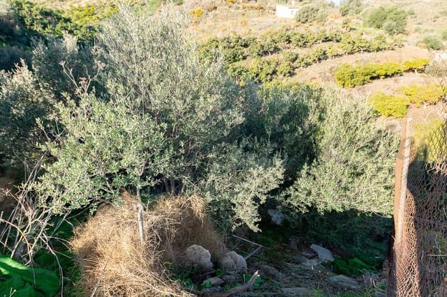 Grond te koop in Torrox - € 118.000 (Ref: 7985529)