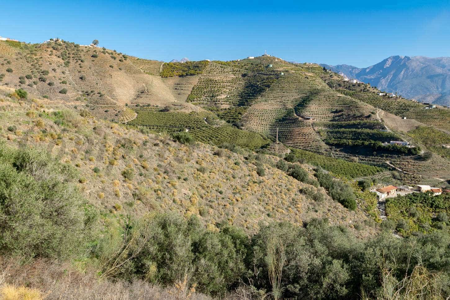 Ubebygd land til salgs i Torrox - € 156 000 (Ref: 7985534)