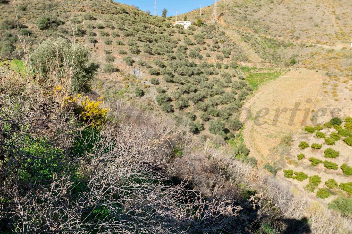 Ubebygd land til salgs i Torrox - € 156 000 (Ref: 7985534)