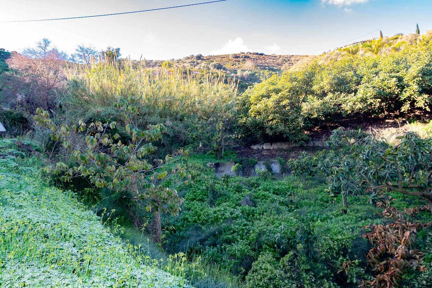 Ubebygd land til salgs i Torrox - € 156 000 (Ref: 7985534)