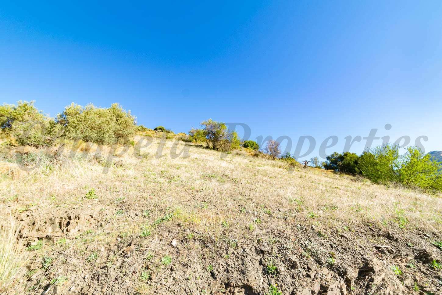 Grond te koop in Torrox - € 33.000 (Ref: 7985540)