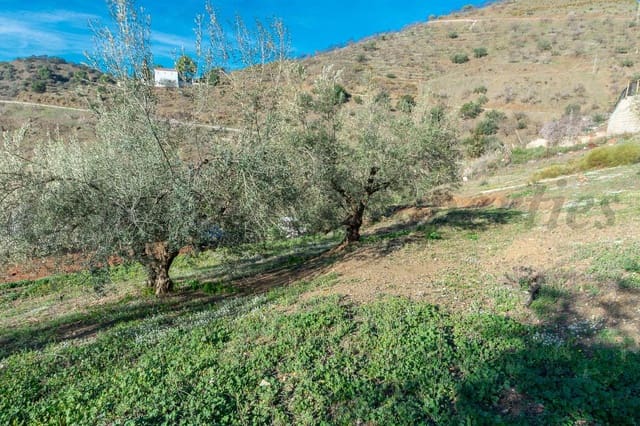 Building Plot for sale in Corumbela, Sayalonga - € 170,000 (Ref: 8061295)